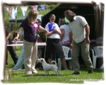 Bono in show ring