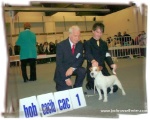 Lancellot Bohemia Platina