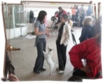 Peseta with her young handler Katja