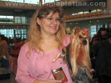 ICH. Champion Lafit Bohemia Platina